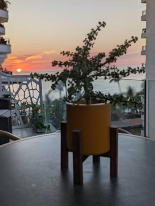 Ocean View Penthouse In P.V. Romantic Zone プエルトバラータ エクステリア 写真